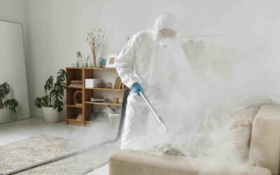 Professional Disinfecting Services: Scope, Science & Same-Week Booking in Toronto
