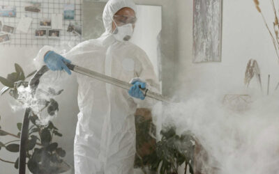 Washroom Steam Cleaning & Detailing for Retail and Commercial